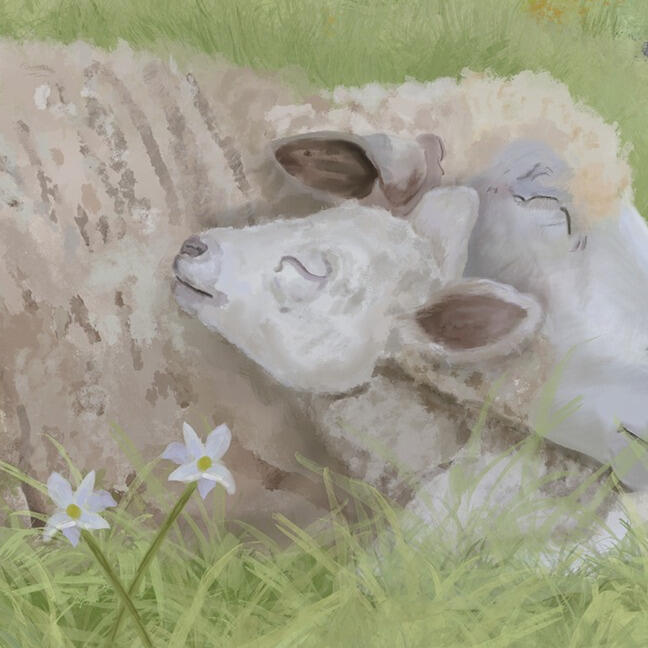 Closing illustration of a sheep resting in a meadow